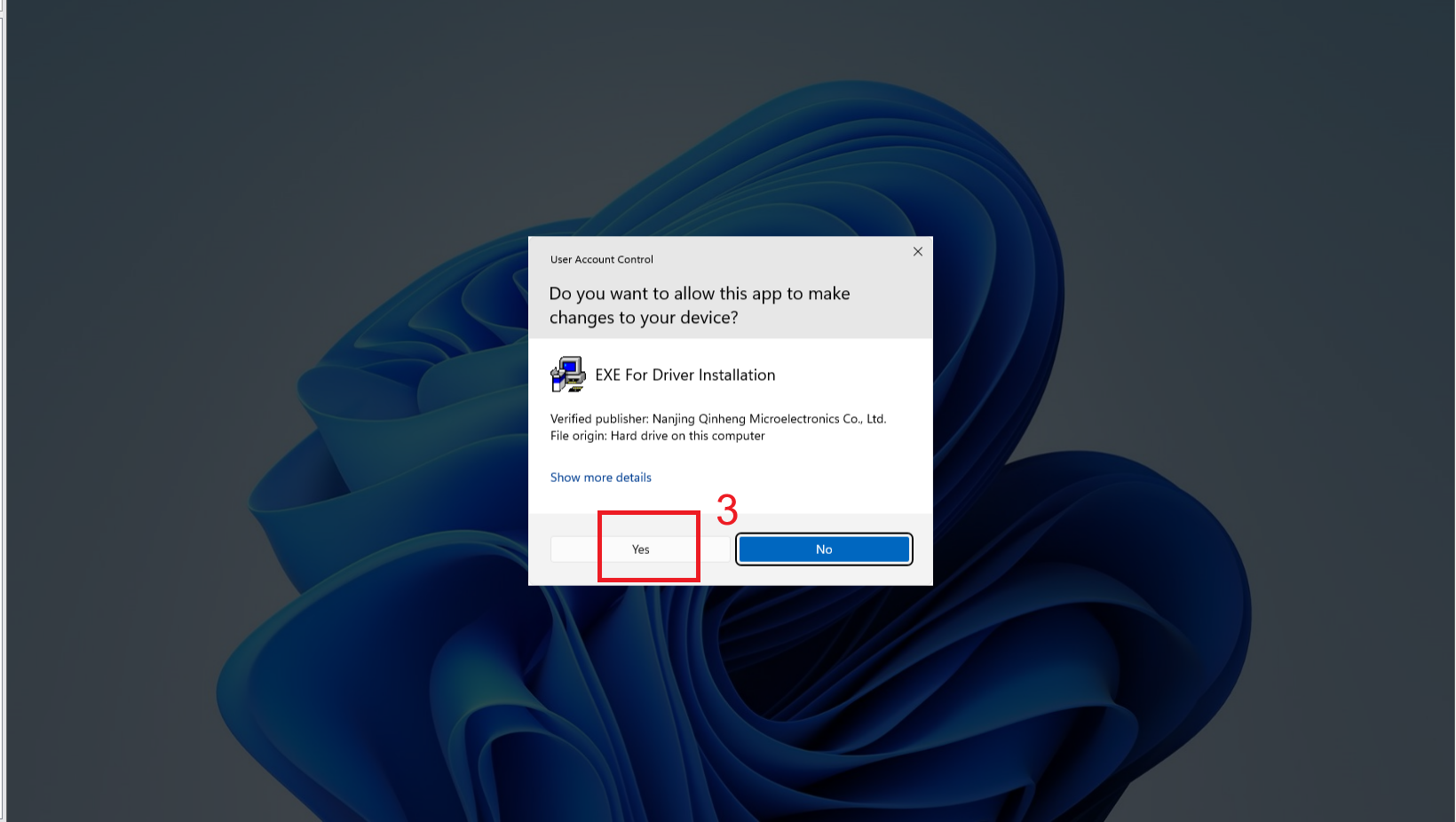 Driver Setup Completing Installation